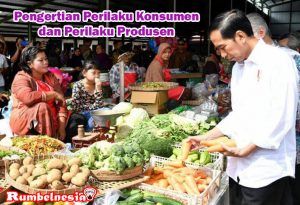 Pengertian Perilaku Konsumen dan Perilaku Produsen