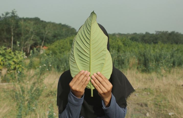 Mengolah Rasa Takut